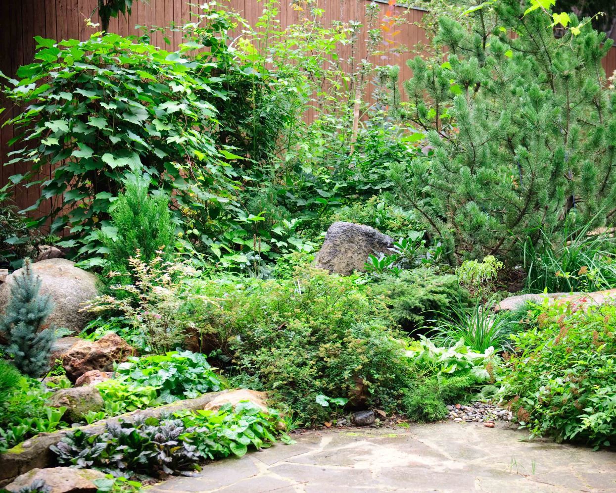 Каменистый сад у Мещерского парка